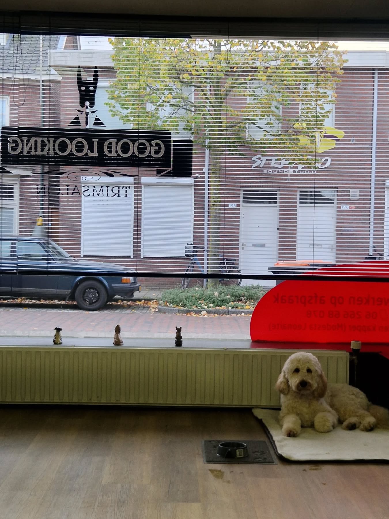 Onze salon in Enschede