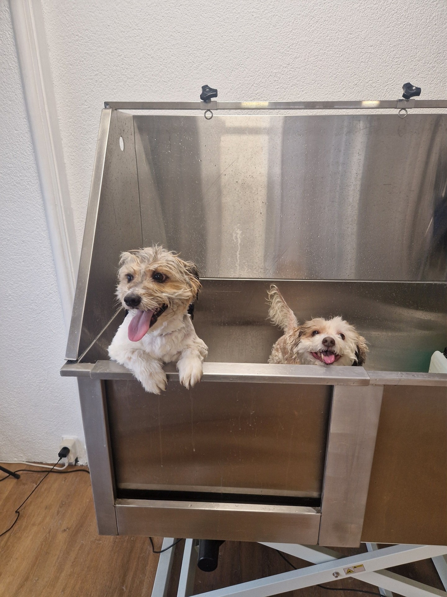 Spa-dag voor twee